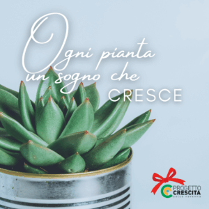 Natale24PC-biglietto-frrt